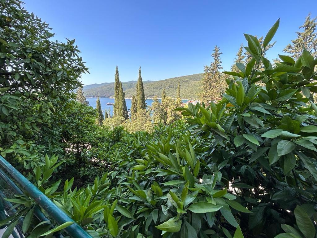 Apartment Near The Sea 650 Rabac Exteriér fotografie